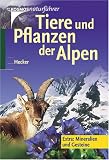 Tiere und Pflanzen der Alpen: Extra: Mineralien und Gesteine