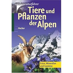 Tiere und Pflanzen der Alpen: Extra: Mineralien und Gesteine