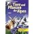 Tiere und Pflanzen der Alpen: Extra: Mineralien und Gesteine