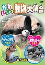 かわいいネ 動物大集合 [DVD]