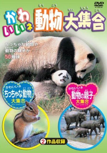 かわいいネ 動物大集合 [DVD]