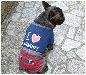 安心パンツ グレーボーダー L IDOG眼狗补丁边