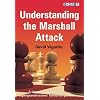 Understanding the Marshall Attack