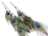 51bmYYxgkxL. SL160  NENA XX Large and Long 11 Many Peacock Feather and Chains Fashion Dangle Earrings Silver Tone Hooks