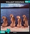 William Wegman Dockers 500pc Jigsaw Puzzle
