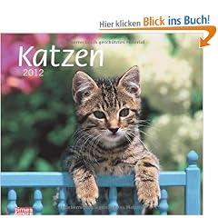 times & more Bildkalender Katzen 2012