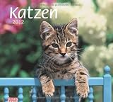 Produkt-Bild: times & more Bildkalender Katzen 2012