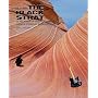 Pink Floyd: the Black Strat: A History of David Gilmour's Black Fender Stratocaster