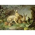 Hares And Leverets In A Rocky Lair by Johann Wenzel Peter. Art Print Poster FRAME IT.. 30 inches width by 24 inches height. Highest Quality Art Poster Print