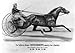 California wonder occident, owned by Gov. L. Stanford (Reprint measured in inches 24 x 17)