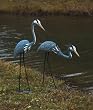 Pair of Steel Herons Garden Statue