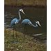 Pair of Steel Herons Garden Statue