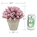 Velener Artificial Provence Pink Lavender Flowers Potted Arrangements for Home Decor