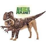 Animal Planet PET20109 Raptor Dog Costume, Small