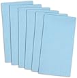 DII 100% Cotton, Oversized Basic Everyday 20x 20" Napkin, Set of 6, Light Blue