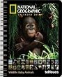 See all Animals Diaries