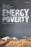 Energy poverty : global challenges and local solutions