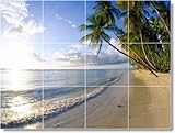 Beach Photo Bathroom Tile Mural B092. 32x40 inches using (20) 8x8 ceramic tiles.