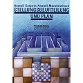 Stellungsbeurteilung und Plan
