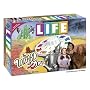 USAopoly Wizard of Oz Life