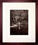 Edward S. Curtis Lithograph, The Pool - Apache. Framed.