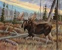 Moose by Ron Jenkins Fine Art Print Poster