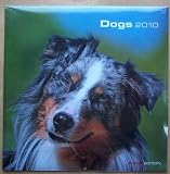 Hunde Dogs 30x60 Wand-Kalender Broschürenkalender 2010 Neu OVP