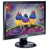 ViewSonicVX2255wmb 22-inch Wide LCD with Integrated Webcam