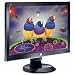 ViewSonicVX2255wmb 22-inch Wide LCD with Integrated Webcam