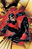 Nightwing Vol. 1: Traps and Trapezes (The New 52)