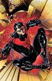 Nightwing Vol. 1: Traps and Trapezes (The New 52)