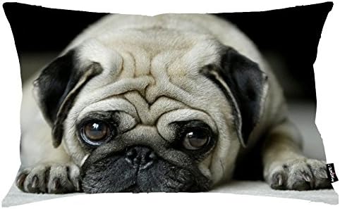 i FaMuRay Custom Pillowcase Home Decoration Funny Pug Dog Face Big Eyes Cushion Covers King Size 20''X36''