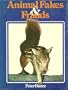 Animal Fakes and Frauds