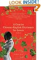 A Concise Chinese-English Dictionary for Lovers: A Novel