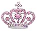 Princess Queen Royal Crown Tiara Brooch Pin Women Ladies Fashion Jewelry