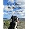 Favorite Dog Books