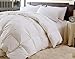 Web Linens Inc Over-Sized for Pillowtop Down and Feather - 95/5 Year Round - Comforter-King 110 x 96 - 72 OZ - Exclusively by Blowout Bedding RN #142035
