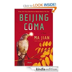Beijing Coma: A Novel