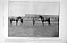 1895 HORSE RACING ST. SERF RAEBURN HERBERT TOON JOCKEY