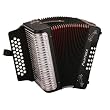 Hohner HA3100MBGCF, Panther Accordion in Sleek Matte Black