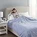 Beautyrest Soft Microfleece Electric Heated Blanket, King, Blue