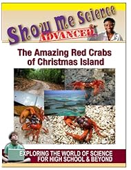 Movie: The Amazing Red Crabs of Christmas Island