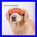 BLUE - X-SMALL - Doggles Mesh Eyewear - Sunshade - Sunglasses