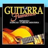 La Guitarra Flamenca