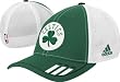 Boston Celtics 2009-2010 Official Team Flex Fit Hat
