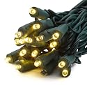 GKI/Bethlehem Lighting 25-Foot Indoor/Outdoor Holiday Light Set with 50 Wide-Angle Mini FlexChange LED Twinkling Lights, Warm White