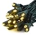 GKI/Bethlehem Lighting 25-Foot Indoor/Outdoor Holiday Light Set with 50 Wide-Angle Mini FlexChange LED Twinkling Lights, Warm White