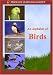 An Alphabet of Birds