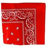 Red Paisley Bandanna