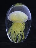51bq0jZbu6L. SL160  Glass Jellyfish Paperweight 4.25 X 3    Jelly Fish Paper Weight